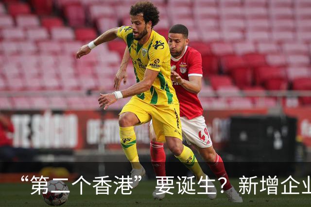 “第二个香港”要诞生？新增企业18.6万家，存款却只增9.39万亿