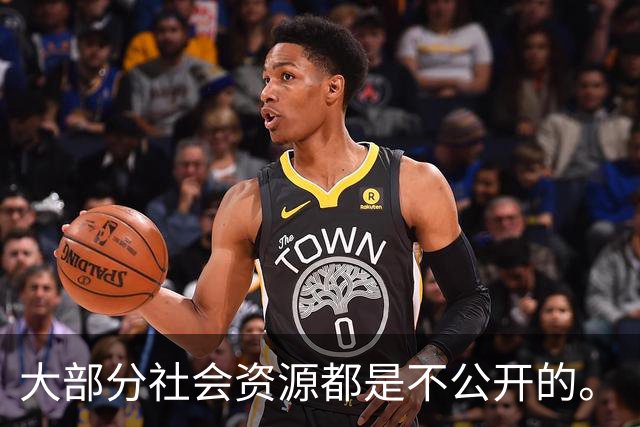 大部分社会资源都是不公开的。