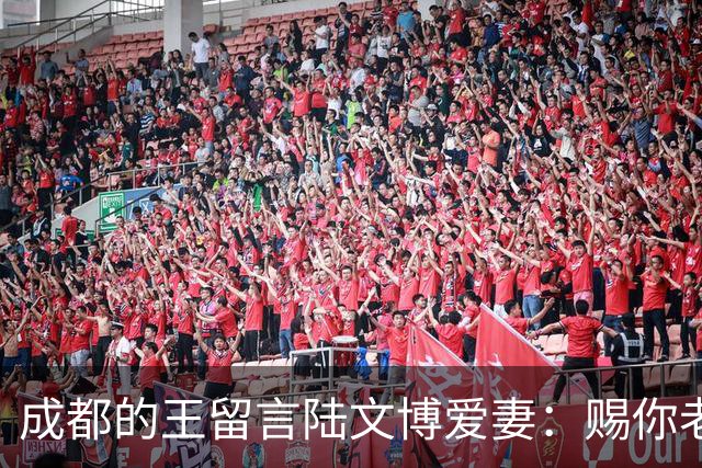 成都的王留言陆文博爱妻：赐你老公一败 结果四川惨败42分仅得49分