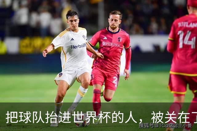 把球队抬进世界杯的人，被关在了世界杯门外！