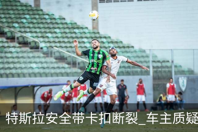 特斯拉安全带卡扣断裂 车主质疑质量缺陷