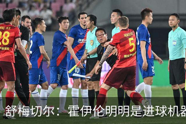 舒梅切尔：霍伊伦明明是进球机器，维韦尔来了偏要换成谢什科