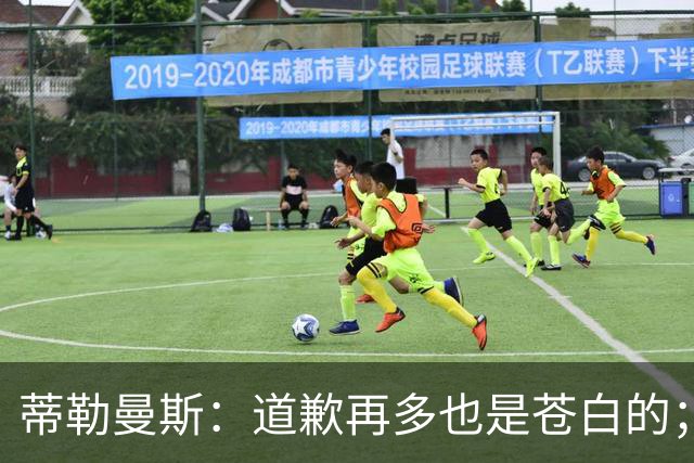 蒂勒曼斯：道歉再多也是苍白的；我们几乎所有环节都脱节了