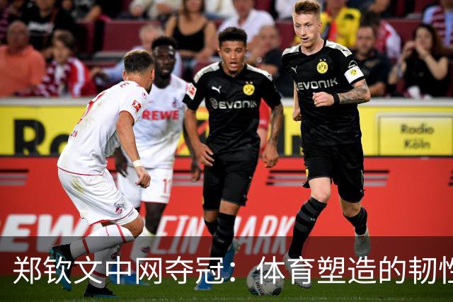 郑钦文中网夺冠：体育塑造的韧性，比分数更持久