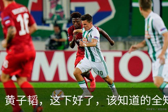 黄子韬，这下好了，该知道的全知道了！