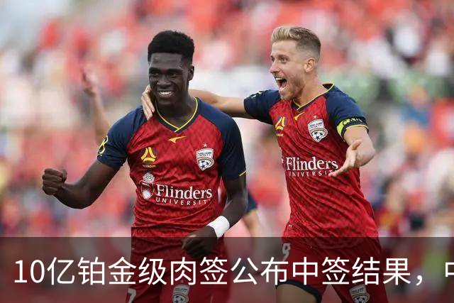 10亿铂金级肉签公布中签结果，中签号码18.13万个，股民中了属实运气好！